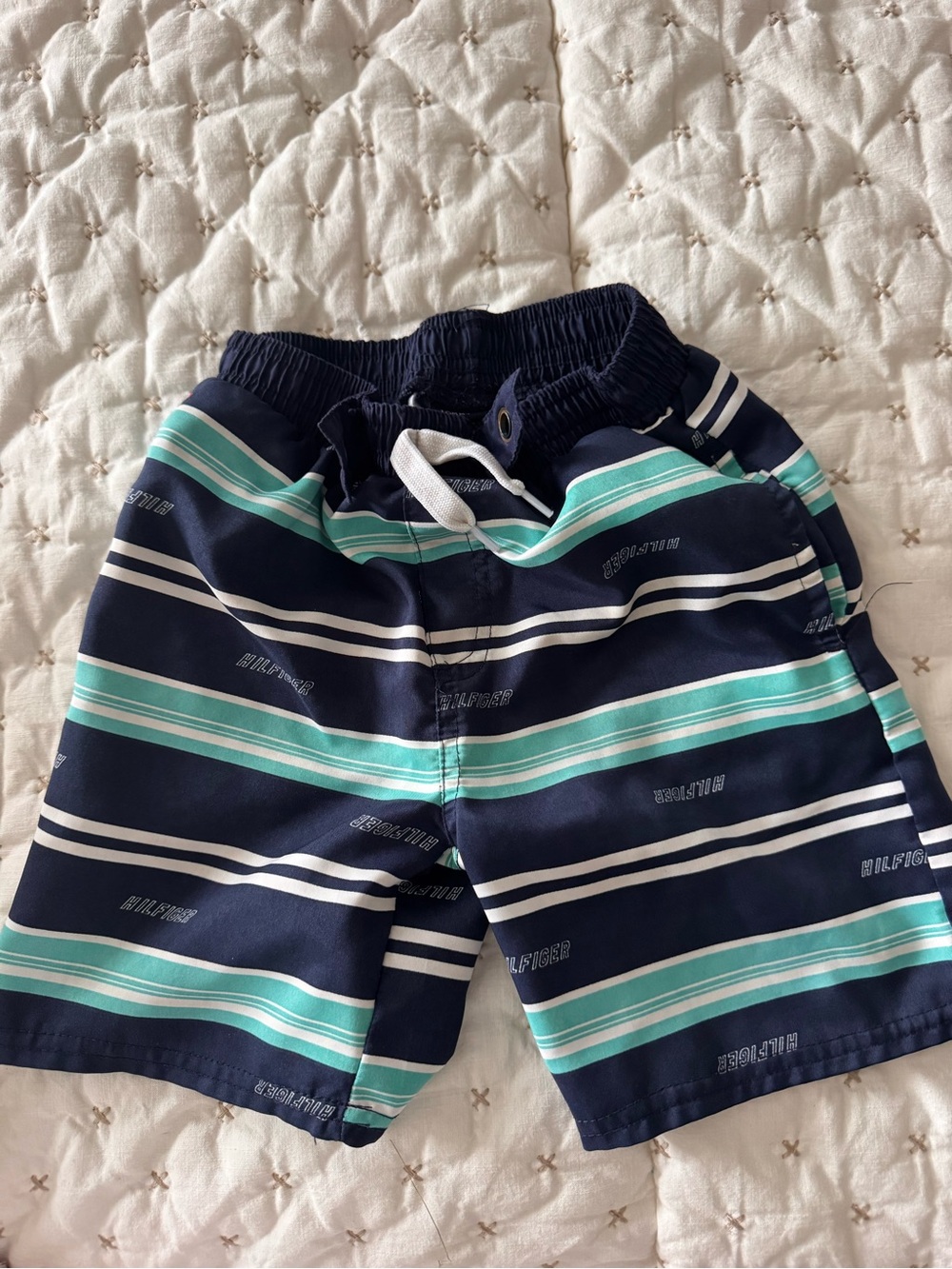 Tommy Hilfiger Navy Swim Shorts with Aqua and White Stripes
